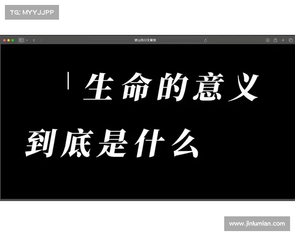 探索生命的无限精彩：如何发现意义与激情