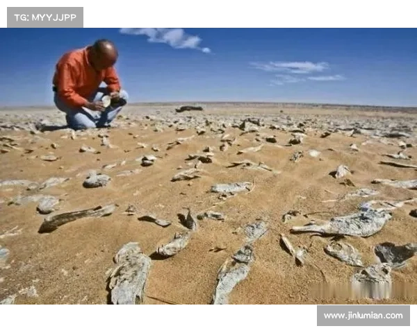 探索高丽神域的深层秘密 揭开这片古老土地的历史谜团