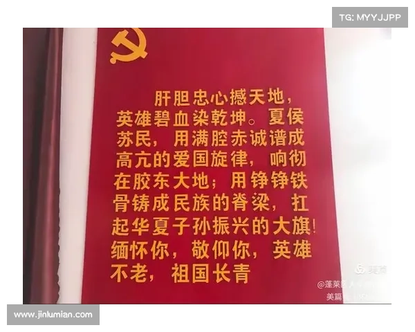 红色徽章之旅探索革命历史的足迹与英雄精神的传承