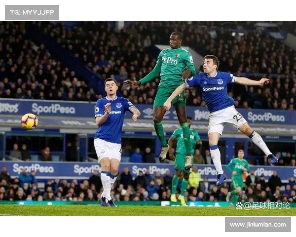 如何查询加的夫城足球队所在联赛及其历史表现分析